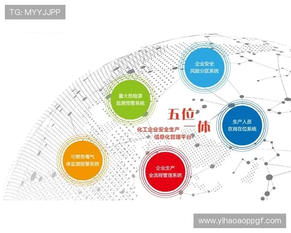 壹号登录：保障个人信息安全的全面措施解析